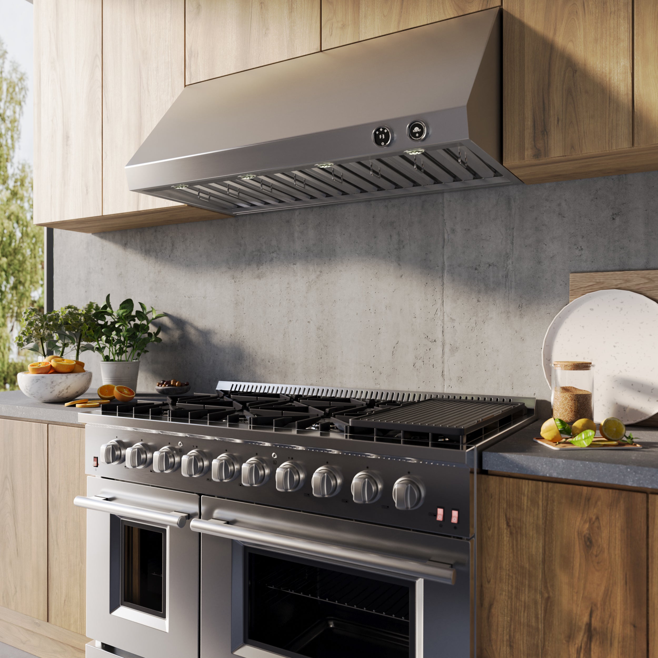 Forno Biagio 48 in. 1000 CFM Stainless Steel Wall Mount Range Hood | FRHWM5009-48