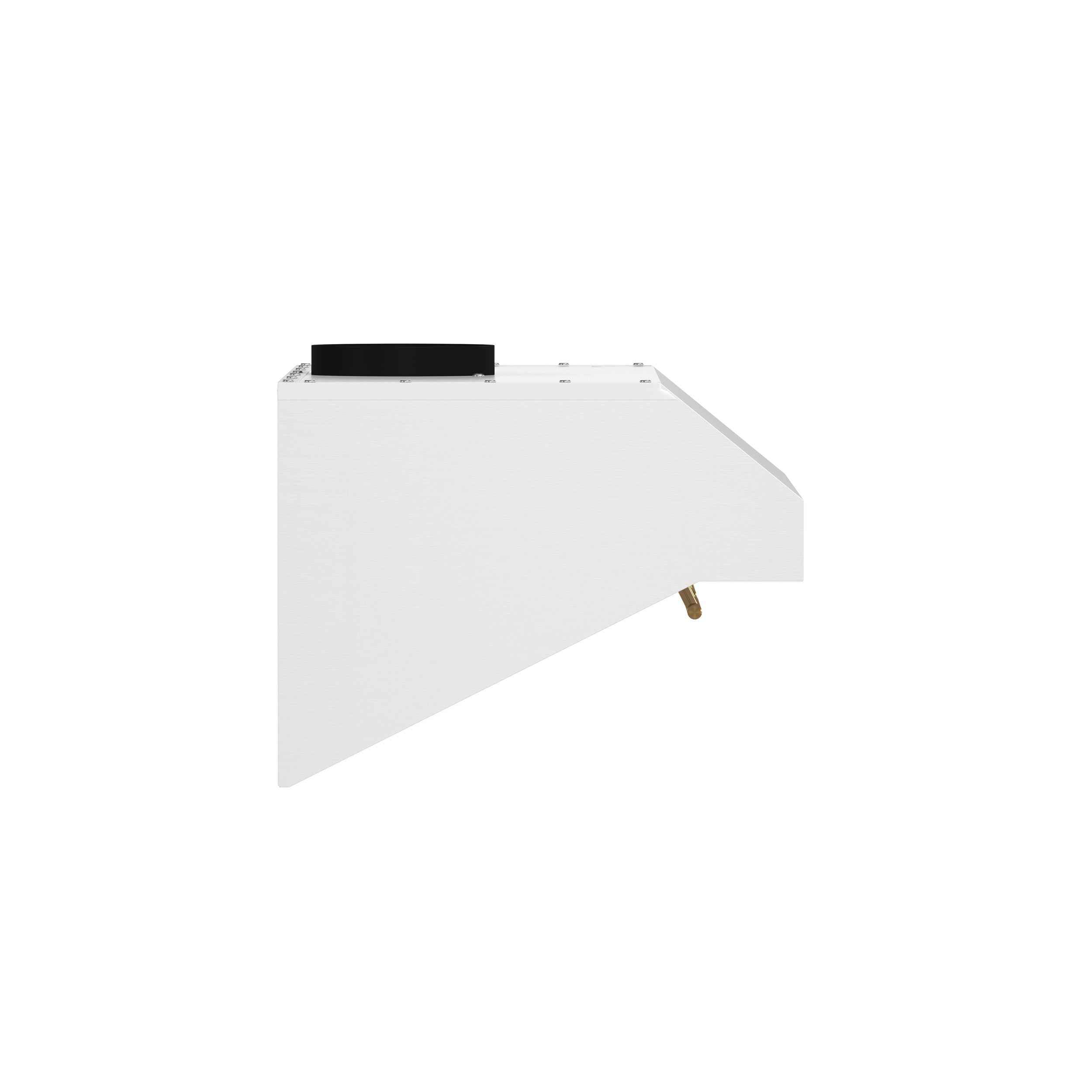 Forno Espresso Bari 30 in. 400 CFM White Under-Counter Range Hood with Antique Brass Accents | FRHUC5255-30WHT