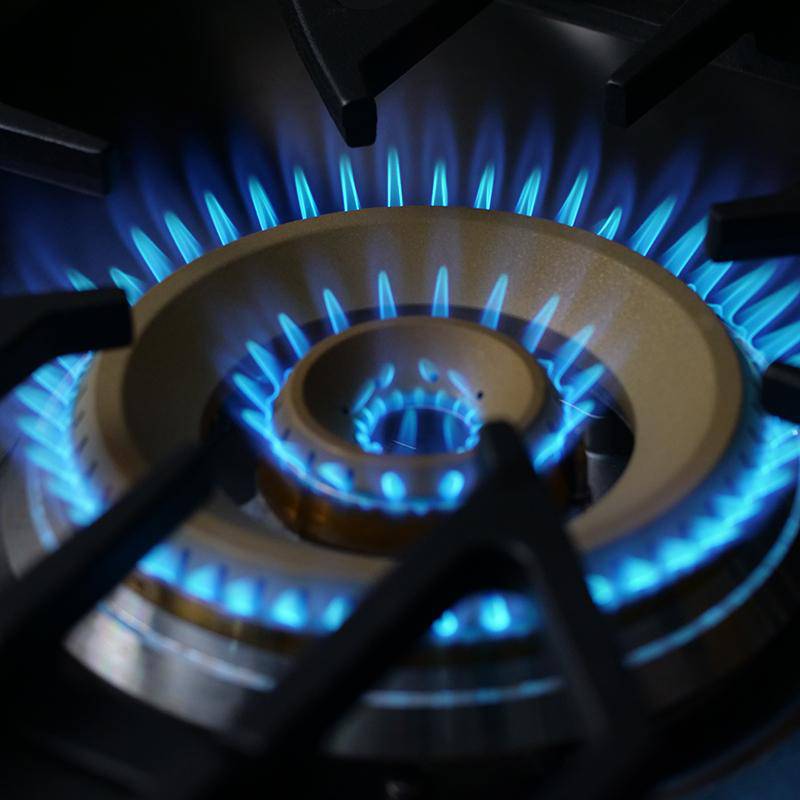 Fotile 30 in. 5-Burner Built-In Stainless Steel Gas Cooktop | GLS30501