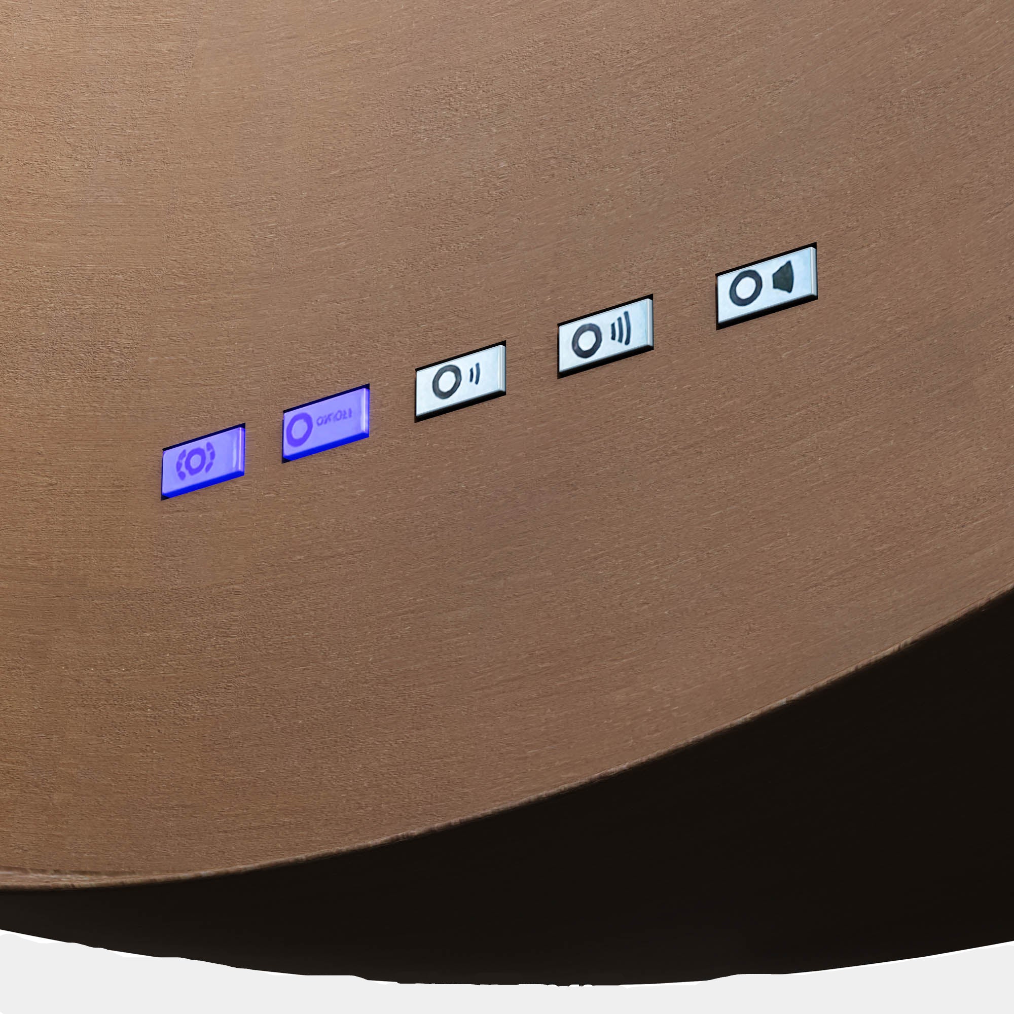 Futuro Campana 20 in. 940 CFM Copper Wall Mount Range Hood | WL20CAMPANA-CPR